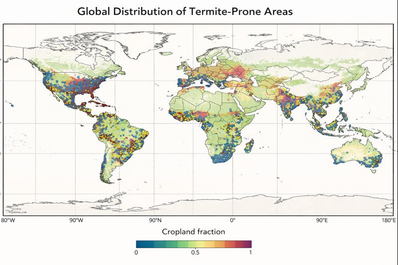 53ba9d50-f790-4850-8218-db799d3598ce-md