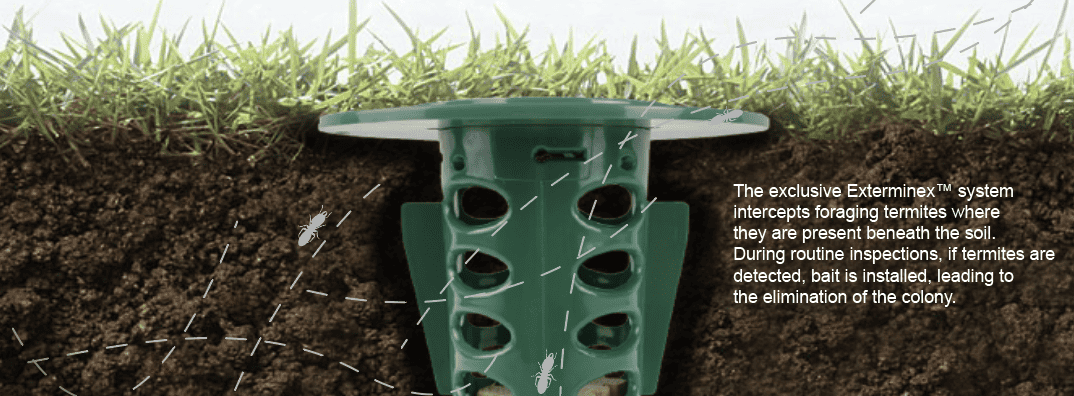 Screenshot 2026-01-08 at 10.25.48 am